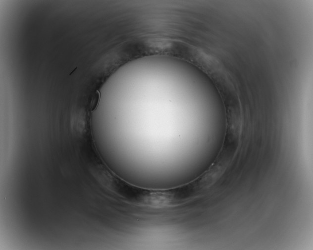 X0000089390758200706151222