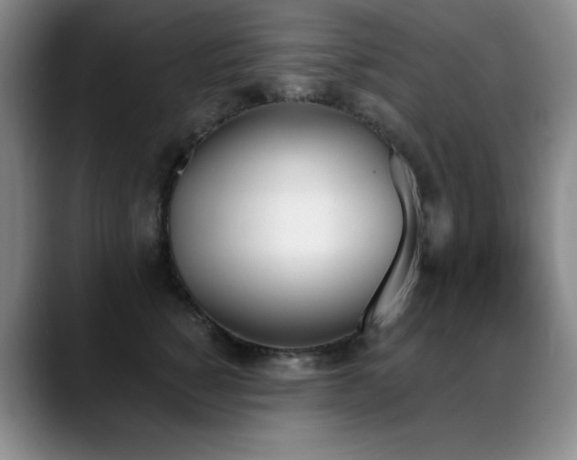 X0000089390760200706151222