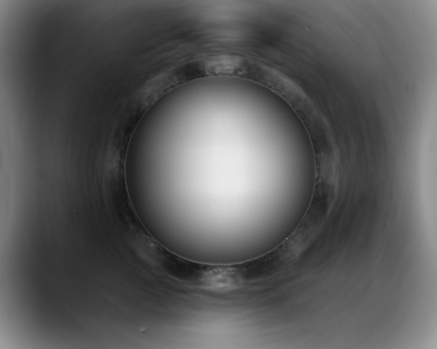 X0000089390761200706151222