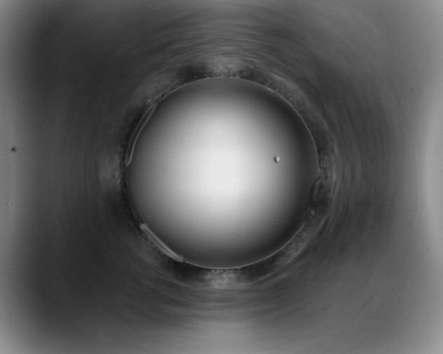 X0000089390762200706151222