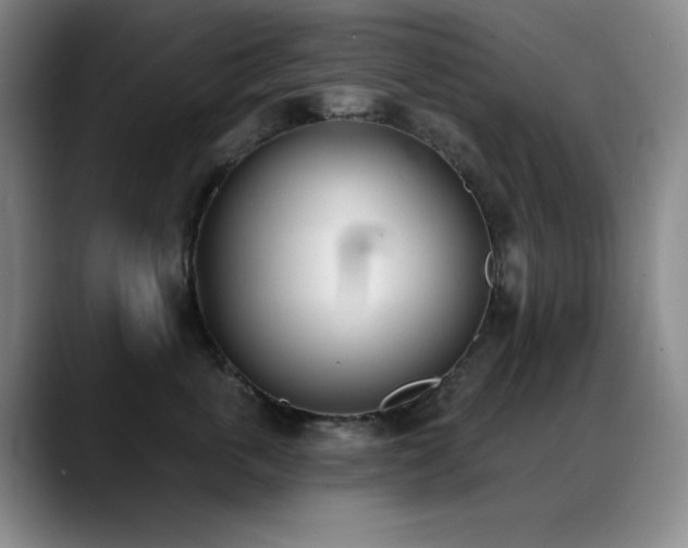 X0000089390763200706151222