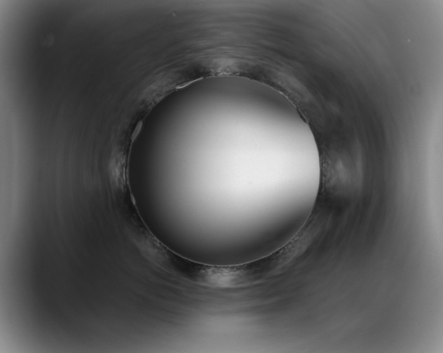X0000089390766200706151222