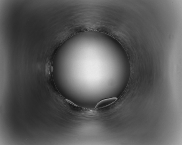 X0000089390768200706151222