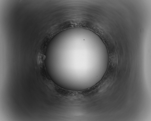 X0000089390770200706151221