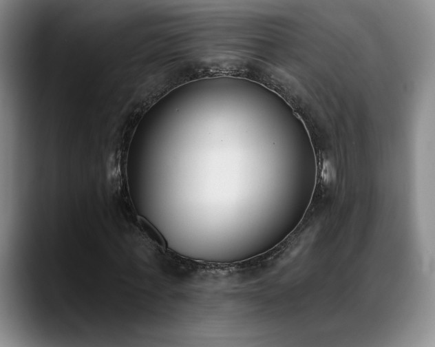 X0000089390771200706151221