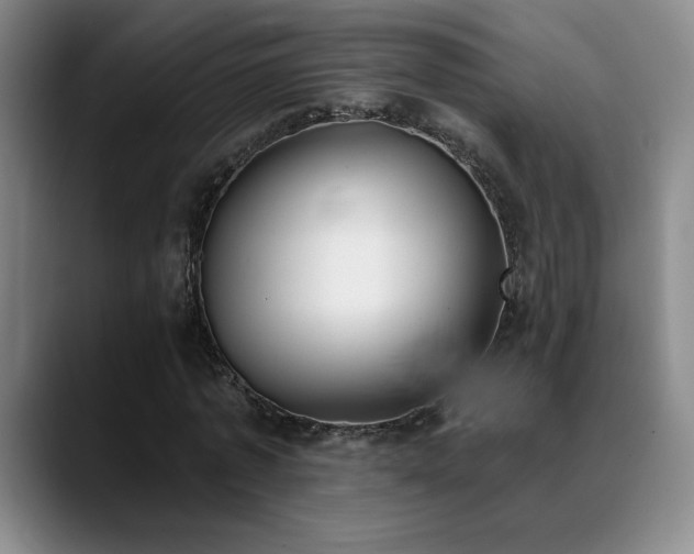 X0000089390773200706151221