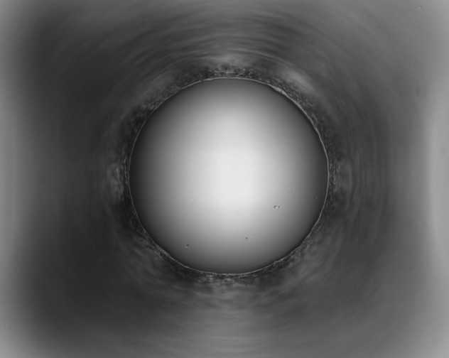 X0000089390774200706151221