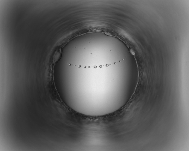 X0000089390775200706151221