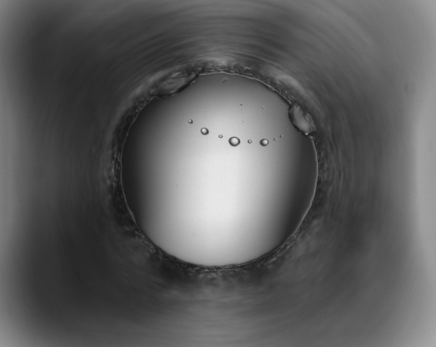 X0000089390776200706151221