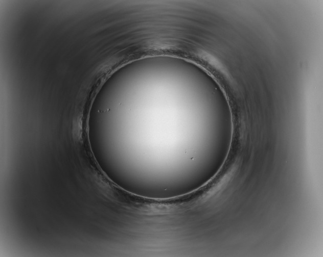 X0000089390777200706151221