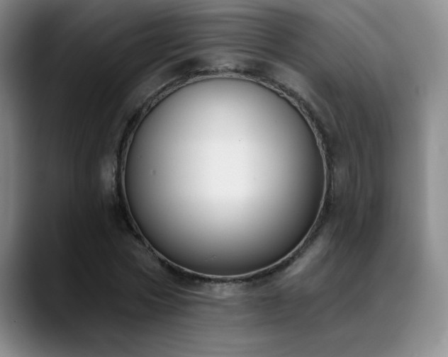 X0000089390778200706151221