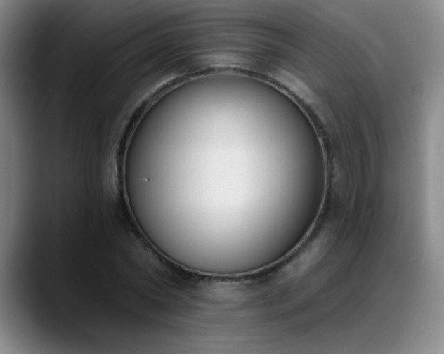 X0000089390782200706151221