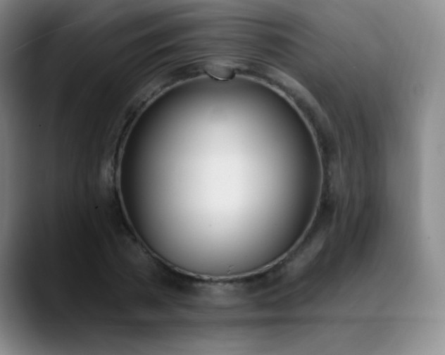 X0000089390785200706151221