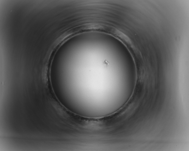 X0000089390786200706151221