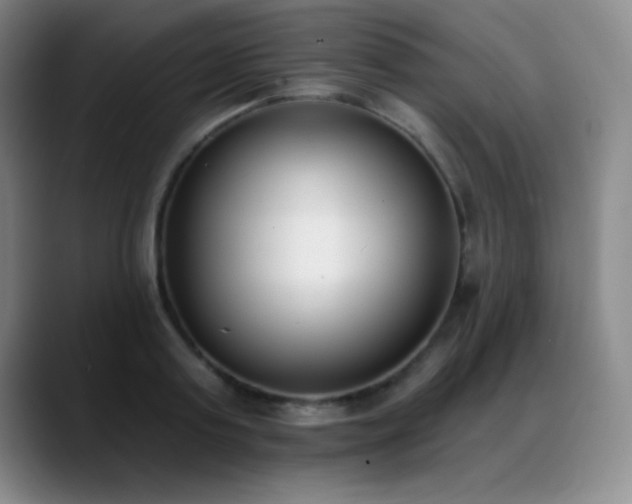 X0000089390795200706151221
