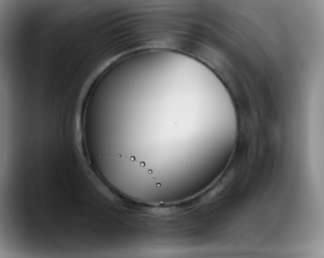 X0000089390796200706151221