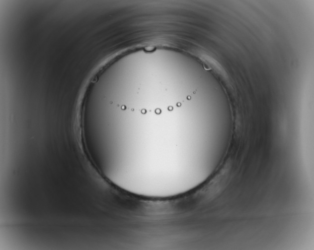 X0000089390800200706151221