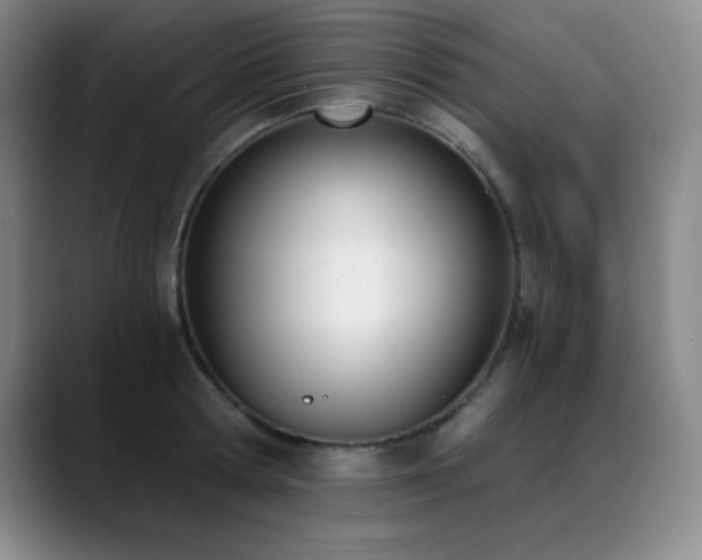 X0000089390802200706151221