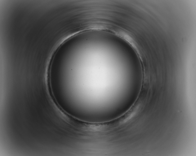 X0000089390803200706151221