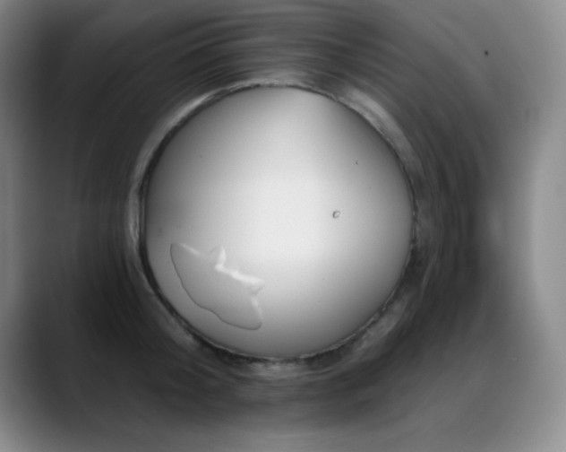 X0000089390804200706151221