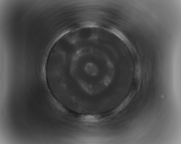 X0000089390806200706151221