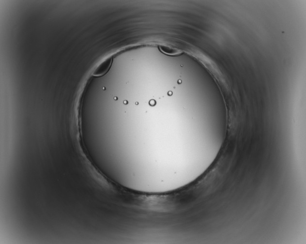 X0000089390808200706151221