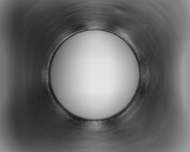X0000089390810200706151221