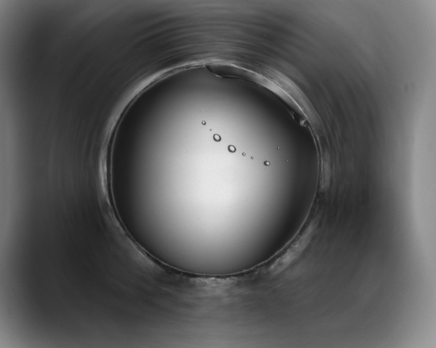 X0000089390812200706151221
