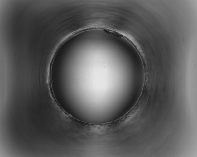 X0000089390815200706151221