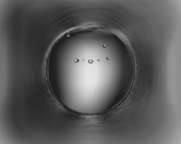 X0000089390816200706151221