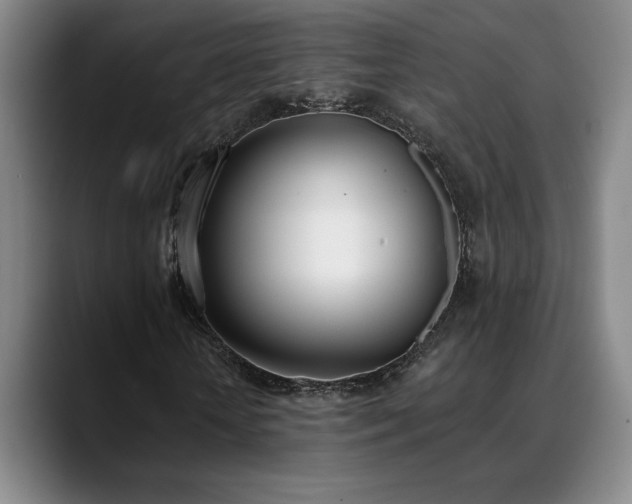 X0000089390818200706151220
