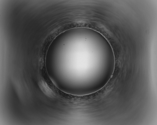 X0000089390821200706151220