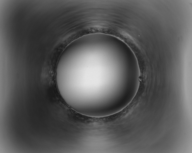 X0000089390822200706151220