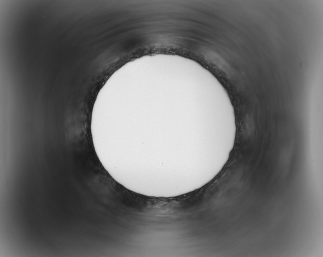 X0000089390824200706151220