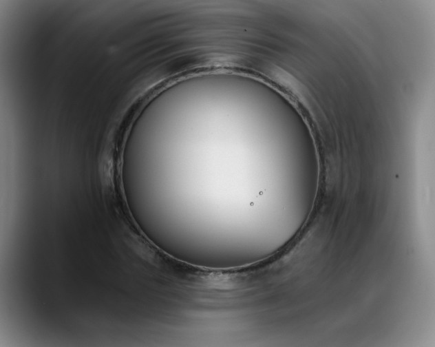 X0000089390827200706151220