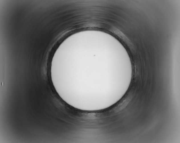 X0000089390828200706151220