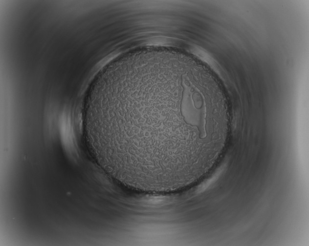 X0000089390829200706151220