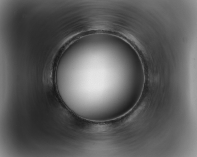 X0000089390830200706151220