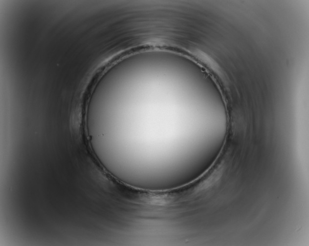 X0000089390831200706151220