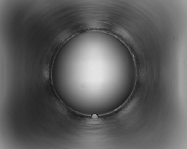 X0000089390833200706151220