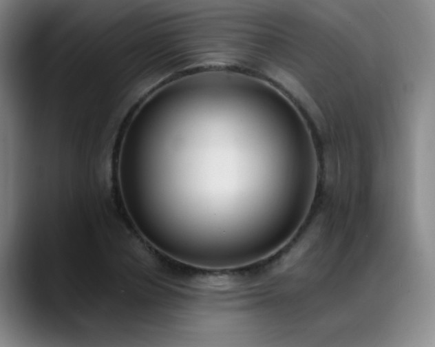 X0000089390834200706151221