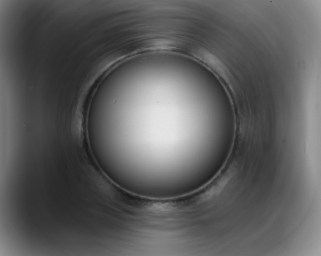 X0000089390835200706151221