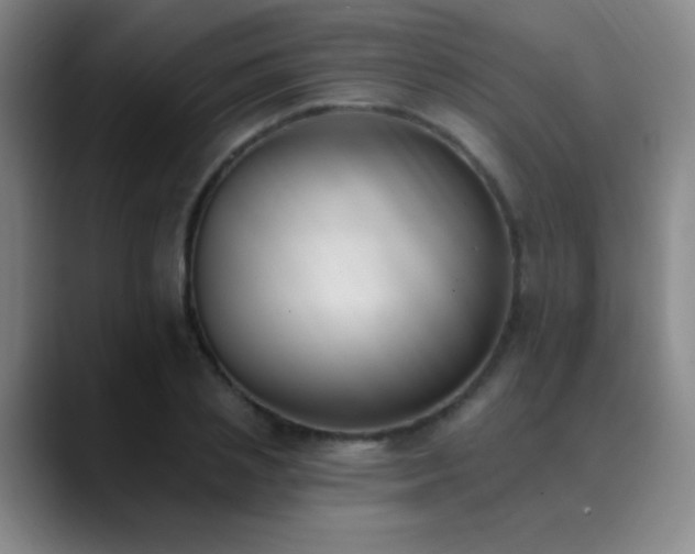 X0000089390837200706151221