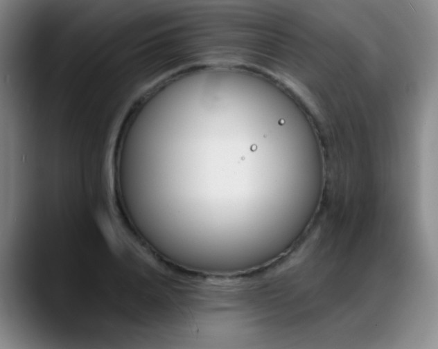 X0000089390840200706151221