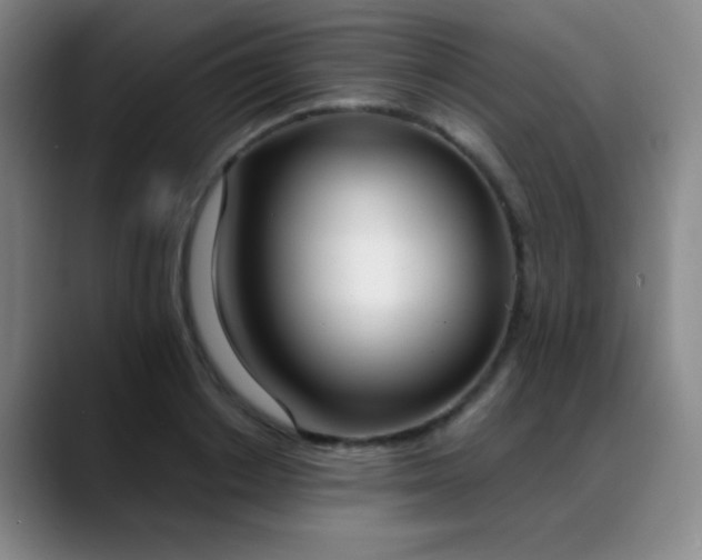 X0000089390842200706151221