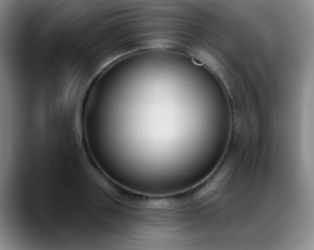 X0000089390843200706151221