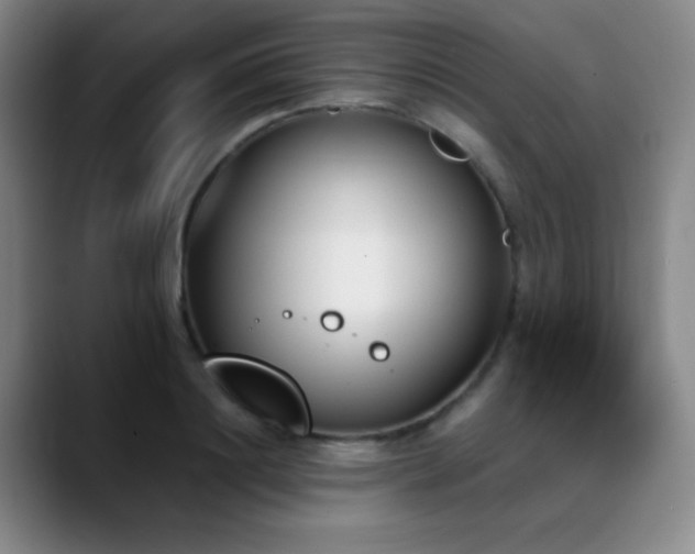 X0000089390844200706151221