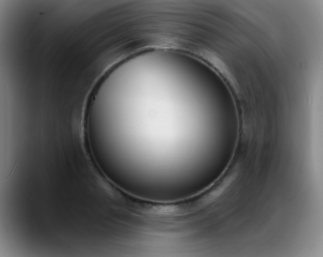 X0000089390845200706151221