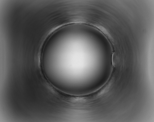 X0000089390846200706151221