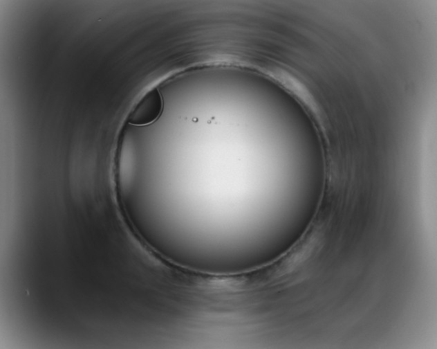 X0000089390847200706151221
